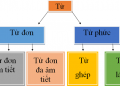 Từ ghép là gì? 3 cách phân biệt từ ghép, từ láy nhanh và dễ hiểu nhất 47 Từ ghép là gì? 3 cách phân biệt từ ghép, từ láy nhanh và dễ hiểu nhất