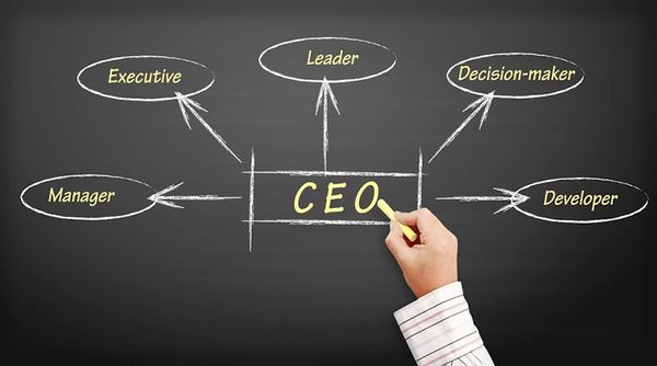 Vai trò của CEO là gì?