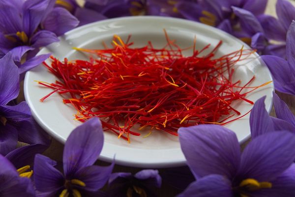 Saffron là dược liệu lành tính có tác dụng rất tốt với cơ thể