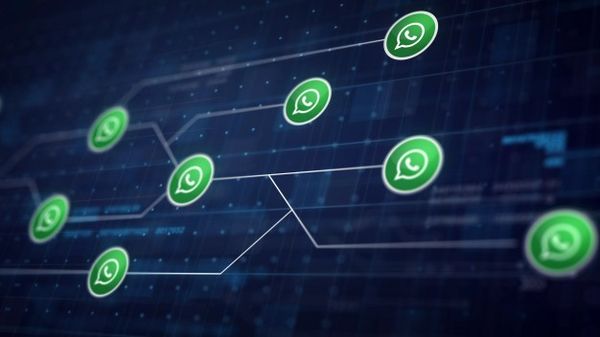 Whatsapp kết nối toàn cầu, ứng dụng phát triển càng mạnh thời covid.
