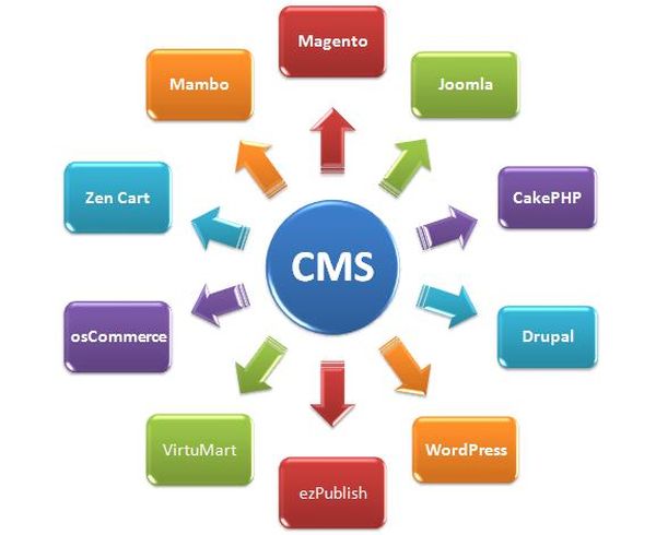 CMS là nơi người quản trị Website có thể cập nhật, thay đổi nội dung trên Website