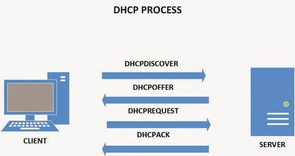 DHCP được viết tắt từ cụm từ Dynamic Host Configuration Protocol