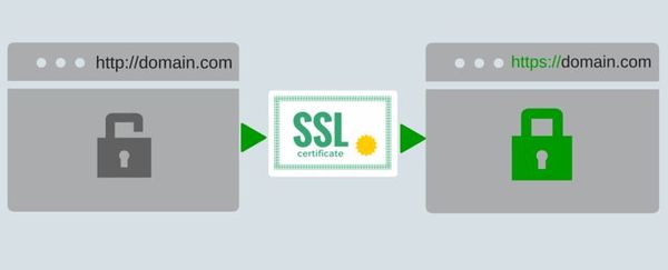 Sự khác nhau giữa SSL thường và SSL cao cấp là gì?