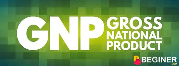 GNP là Tổng sản phẩm quốc gia.
