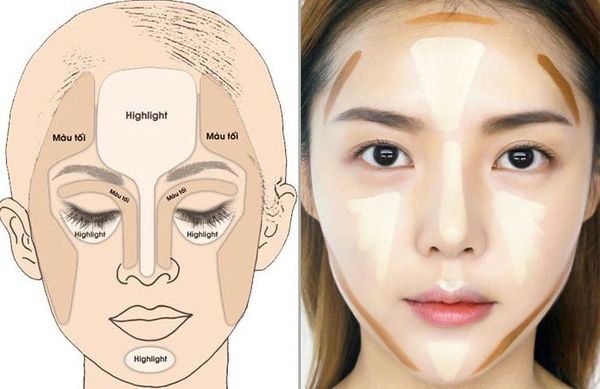Cách makeup highlight thường cho sống mũi, trán, cằm và quầng mắt. 
