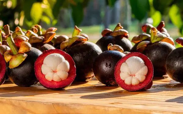 Điểm danh các loại quả, trái cây kỳ lạ hiếm có khó tìm trên thế giới 36