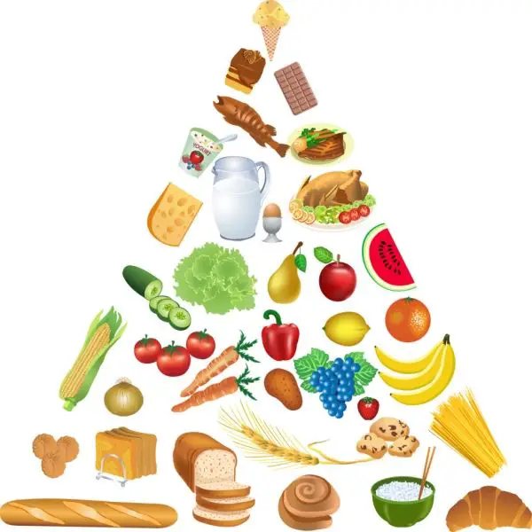 Tháp dinh dưỡng là mô hình ăn uống mô phỏng theo một kim tự tháp, cung cấp thông tin về lượng thực phẩm trung bình tiêu thụ trong 1 tháng