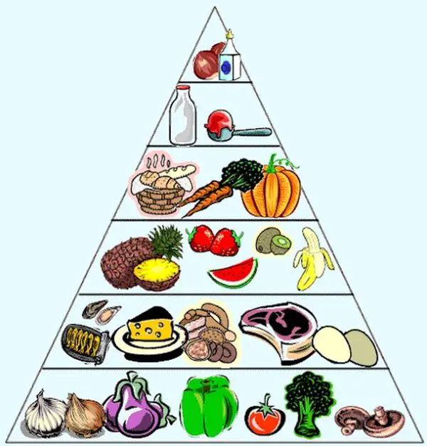  Tháp dinh dưỡng giúp bạn có được một loạt các loại thực phẩm bổ dưỡng trong chế độ ăn uống mỗi ngày