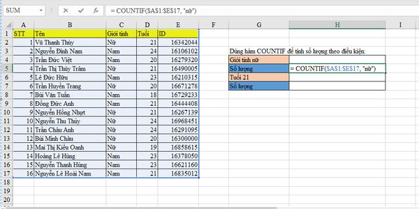 Cách dùng hàm Countif và hàm Countifs trong excel dễ hiểu nhất 2